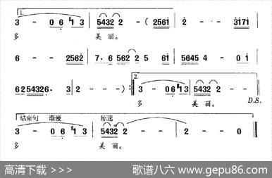 椰岛 - 晓光|冯世全