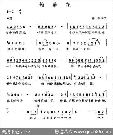 雏菊花（容榕词容榕曲） - 容榕|容榕