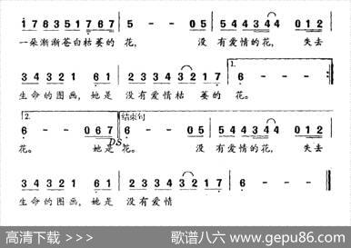 雏菊花（容榕词容榕曲） - 容榕|容榕