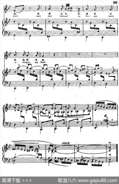 诗人之恋10、听见那歌声响起（中外文对照、正谱） - 海涅|舒曼曲、尚家骧译