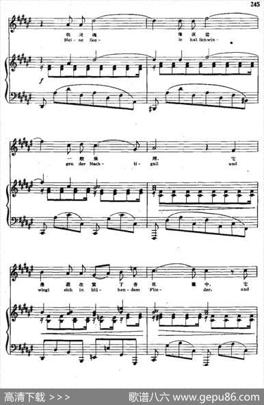 我的爱情多青春（中外文对照、正谱）|勃拉姆斯曲、尚家骧译配