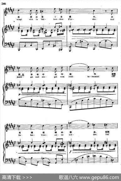 我的爱情多青春（中外文对照、正谱）|勃拉姆斯曲、尚家骧译配