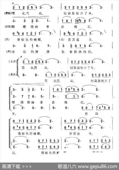 雪花，银色的蝴蝶 - 黄淑子|苏铁