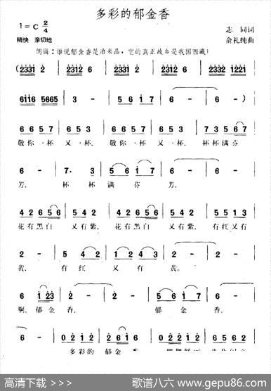 多彩的郁金香 - 志同|俞礼纯