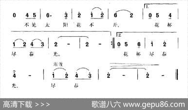 多彩的郁金香 - 志同|俞礼纯