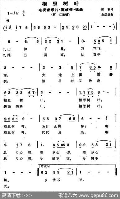 相思树叶（电视音乐片《海峡情》选曲） - 张藜|史宗毅