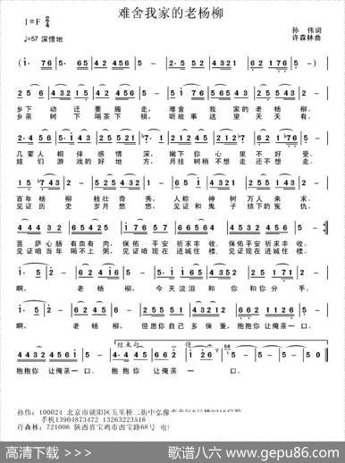 难舍我家的老杨柳 - 孙伟|许森林