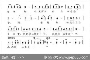难舍我家的老杨柳 - 孙伟|许森林