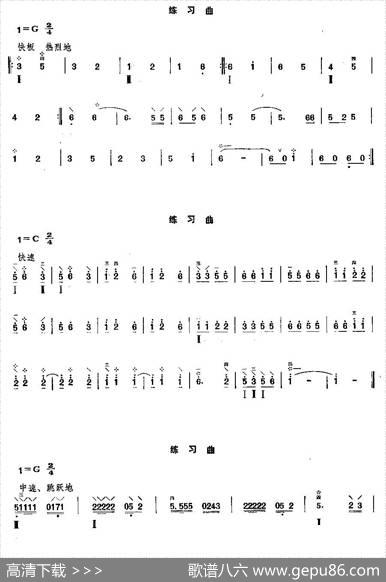 柳琴小轮技巧练习曲