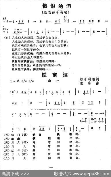 铁窗泪（《悔恨的泪》曲一） - 赵子明填词