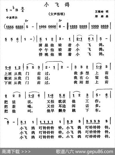 小飞鸽 - 王晓岭|郑路