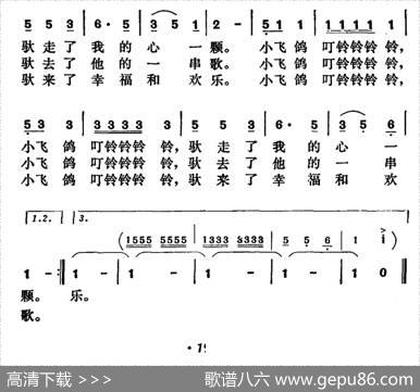 小飞鸽 - 王晓岭|郑路