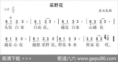 采野花