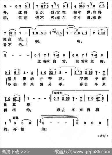 红梅和白雪 - 王晓岭|魏景舒