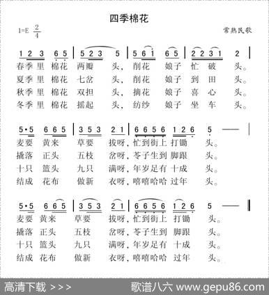 四季棉花