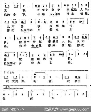 荷花啊荷花 - 戎林|庄超
