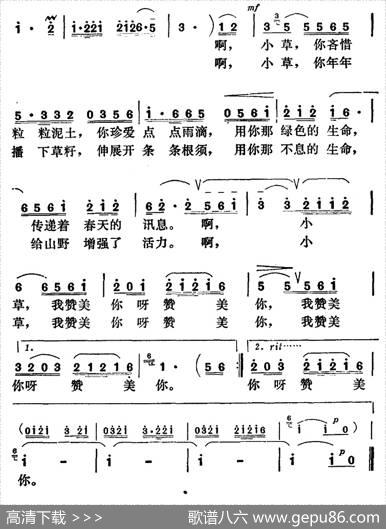 小草，我赞美你 - 程恺|程恺