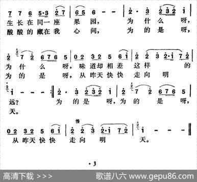 荔枝和柠檬 - 王晓岭|郑路