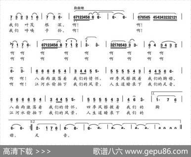 莽野森林 - 崔柯|马殿俭