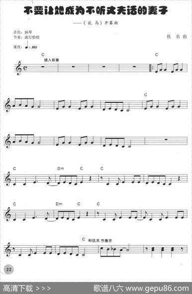 不要让她成为不听丈夫话的妻子（《乱马》开幕曲）