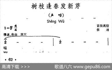 树枝逢春发新芽（声唔、苗族高腔）
