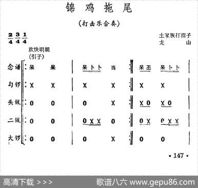 锦鸡拖尾（打击乐合奏）