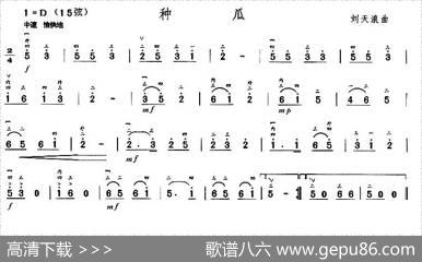 种瓜|刘天浪