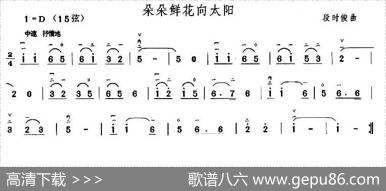 朵朵鲜花向太阳|段时俊