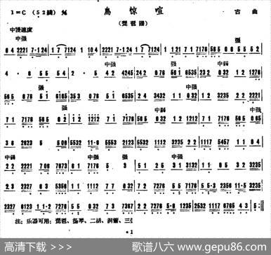 鸟惊喧（广东音乐）