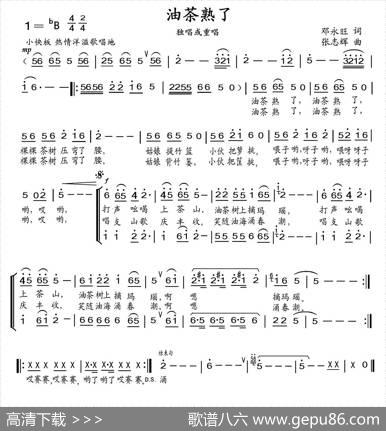 油茶熟了 - 邓永旺|张志辉