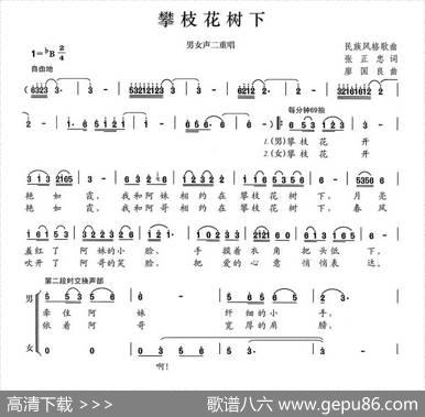 攀枝花树下 - 张正忠|廖国良