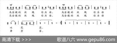 黑玫瑰（赵金词赵金曲） - 赵金|赵金