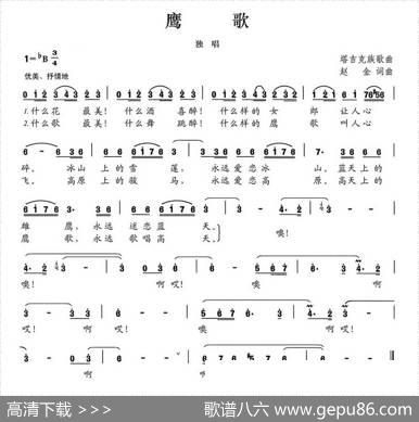 鹰歌 - 赵金|赵金