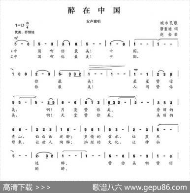 醉在中国 - 唐重迪|赵金