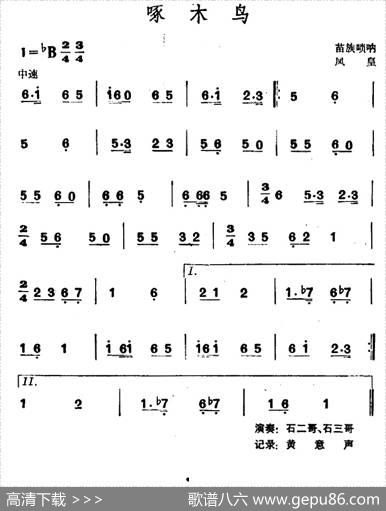 啄木鸟（苗族唢呐）