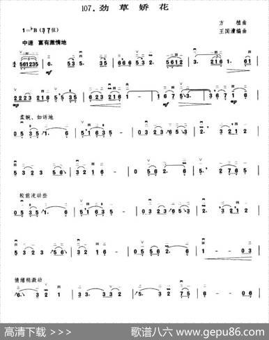 劲草娇花|方植曲、王国潼编曲
