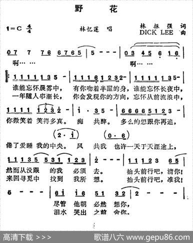野花（林振强词DICKLEE曲） - 林振强|DICKLEE