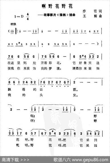 啊野花野花（故事影片《扬帆》插曲） - 乔羽|王酩