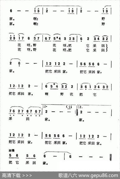 啊野花野花（故事影片《扬帆》插曲） - 乔羽|王酩
