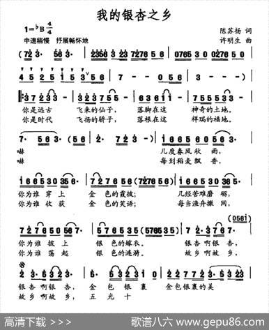 我的银杏之乡 - 陈苏扬|许明生