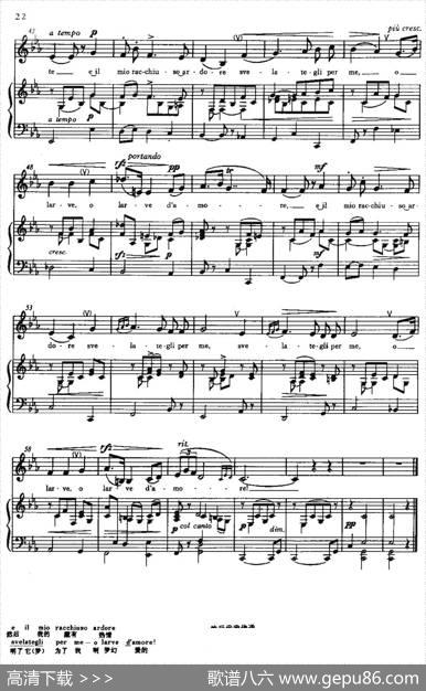 [意]Intornoall'idolmio（在我的偶像周围）|[意]切斯蒂