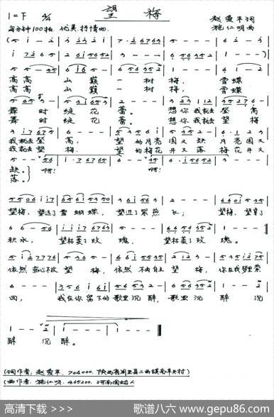 望梅 - 赵爱平|张士科