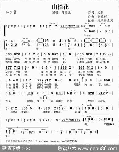 山楂花 - 文雅|仓雁彬