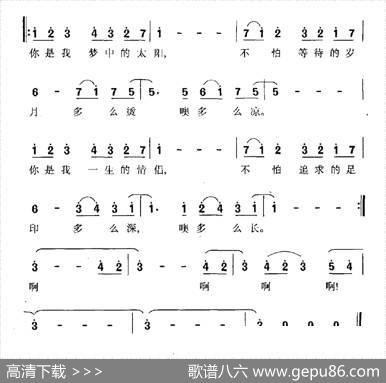 塔里木情侣（电视剧《西部风流》主题曲） - 付林|付林