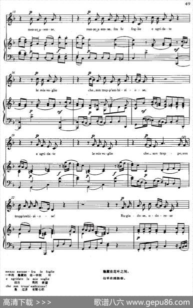 [意]Levioette（紫罗兰）|斯卡拉蒂