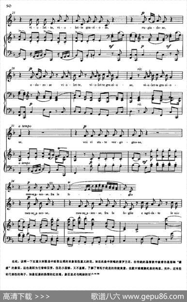 [意]Levioette（紫罗兰）|斯卡拉蒂