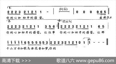 让往事飞 - 高枫|高枫