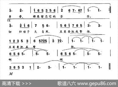 秋海棠 - 志同|赵行达