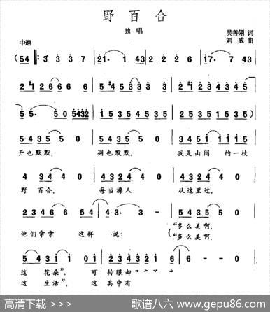 野百合 - 吴善翎|刘威