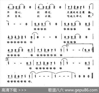 野百合 - 吴善翎|刘威